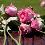 Wallace-Law-Services-02 Close up Pink Roses on top of Casket